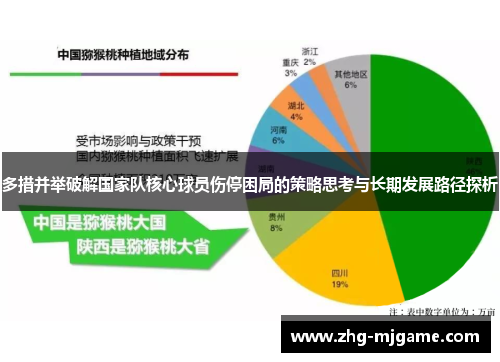 多措并举破解国家队核心球员伤停困局的策略思考与长期发展路径探析